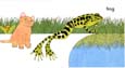 cats-frog